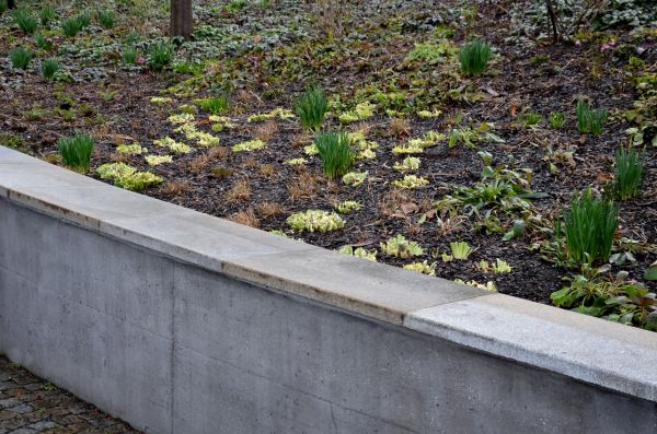 Concrete Wall Construction in Moses Lake