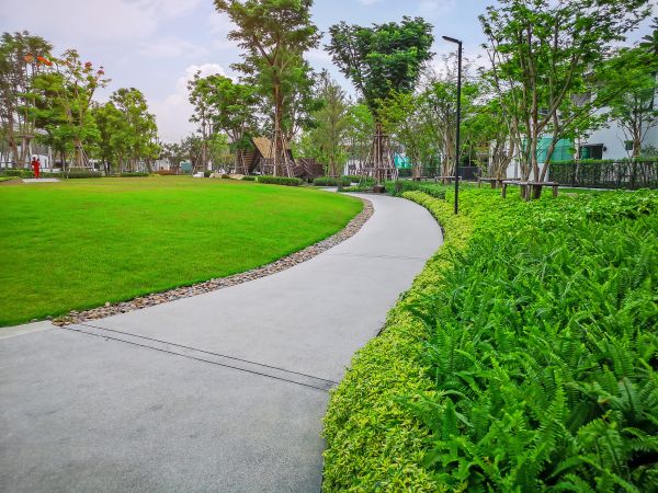 Cement Walkway Service in Moses Lake