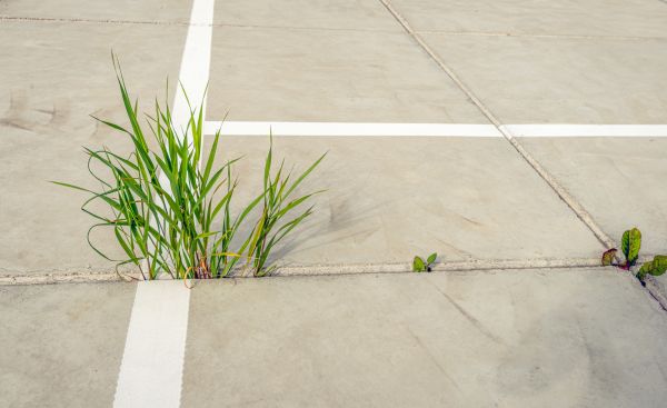 Concrete Parking Installation in Moses Lake